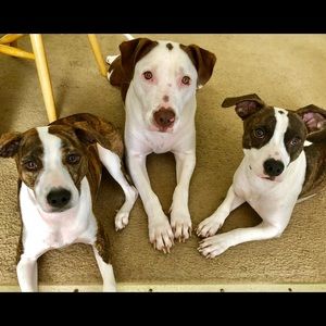 Meet your Posher, Cheri